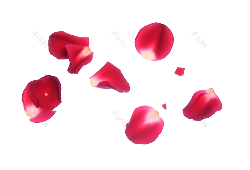 花瓣装饰图片,520元素,玫瑰花PNG,玫瑰免抠素材